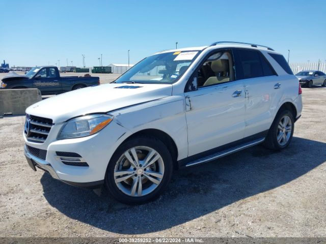 4JGDA5JB6EA281374 Mercedes-Benz ML 350