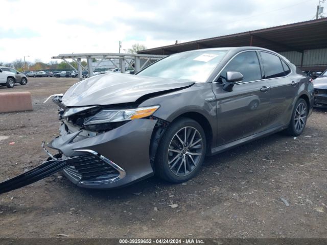 4T1F31AK5MU555270 Toyota Camry Xle Hybrid