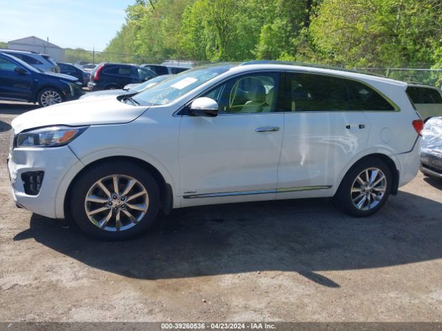 5XYPKDA50GG135557 KIA Sorento 3.3l Sxl