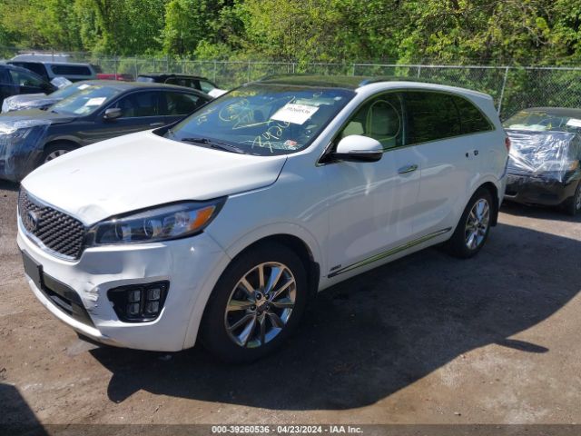 5XYPKDA50GG135557 KIA Sorento 3.3l Sxl