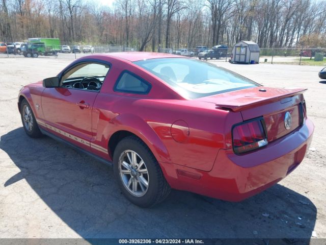 2009 FORD MUSTANG 1ZVHT80N895141562 Photo 2