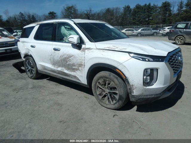 Hyundai Palisade Sel 2020 KM8R2DHE8LU034804 Image 1