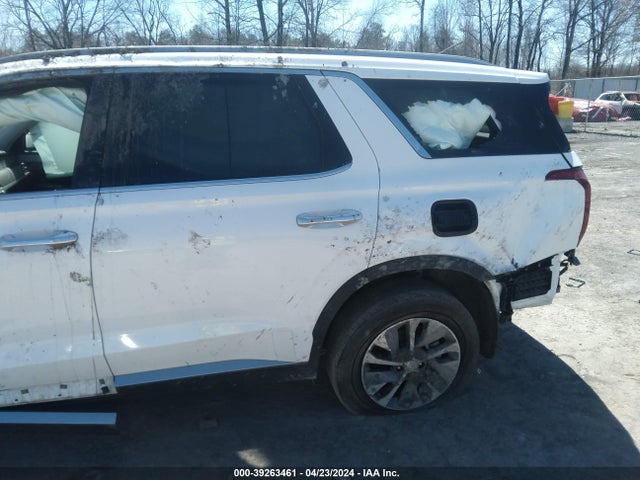 Hyundai Palisade Sel 2020 KM8R2DHE8LU034804 Image 6