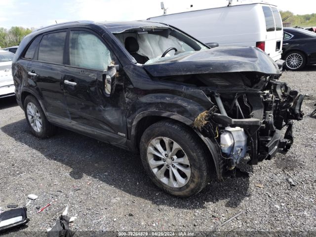 39264879 :رقم المزاد ، 5XYKUDA79EG468715 vin ، 2014 Kia Sorento Ex V6 مزاد بيع