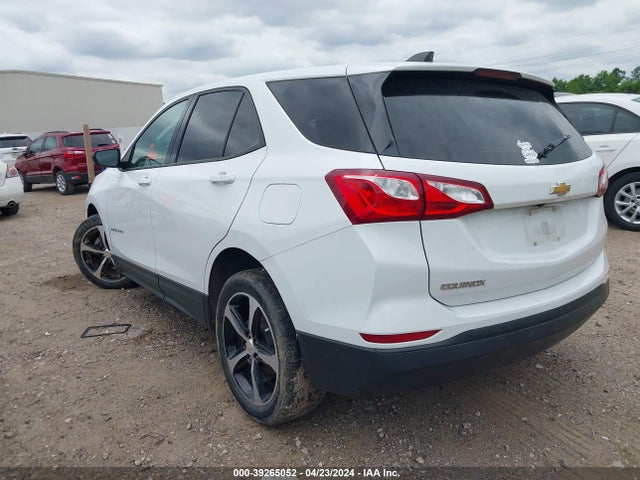 Chevrolet EQUINOX LS 2019 2GNAXHEV8K6118107 Image 3