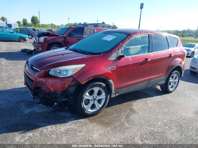 Ford ESCAPE SE 2014 1FMCU0GX3EUE20707 Image 2