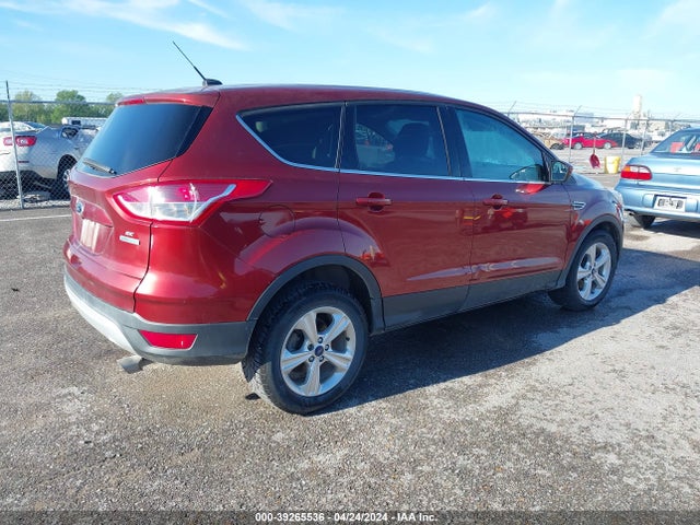 Ford ESCAPE SE 2014 1FMCU0GX3EUE20707 Image 4