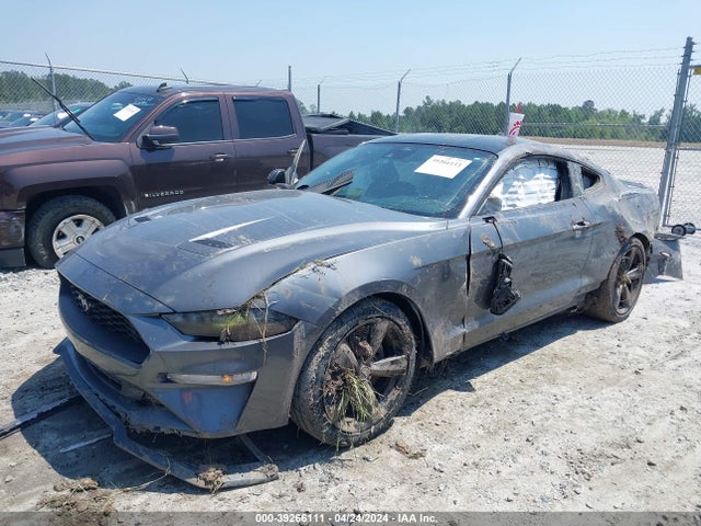Ford Mustang Ecoboost Fastback 2021 1FA6P8TH6M5104402 Image 2