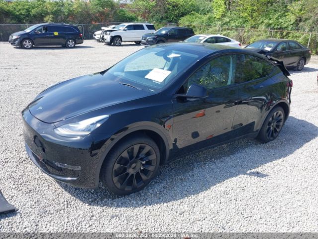 2023 TESLA MODEL Y 7SAYGDEE4PA153681 Photo 1