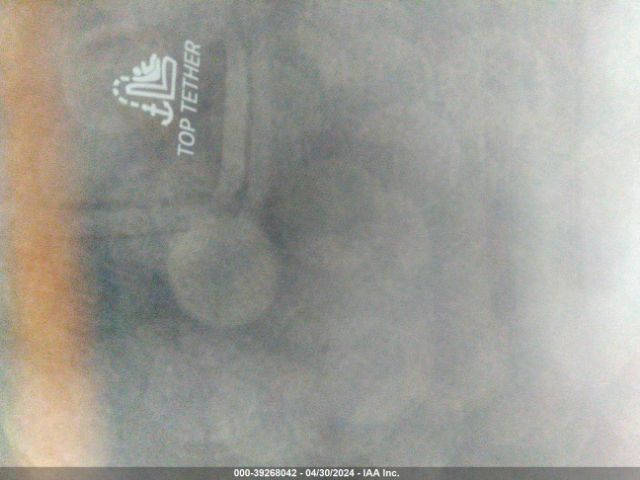 2024 BMW 740 WBA33EH04RCP33750 Photo 7
