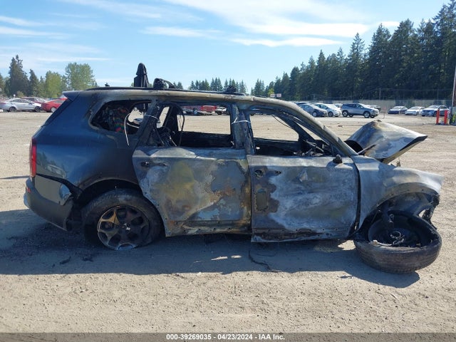 KIA Telluride Ex 2020 5XYP3DHC0LG027774 Image 12