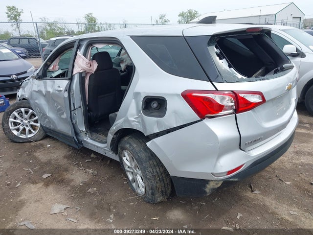 Chevrolet EQUINOX LS 2019 2GNAXHEV5K6116122 Image 3