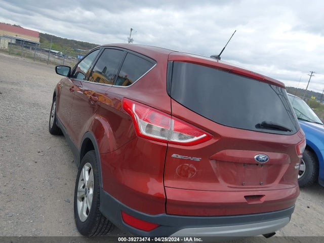 Ford ESCAPE SE 2014 1FMCU9GX3EUE09498 Image 6