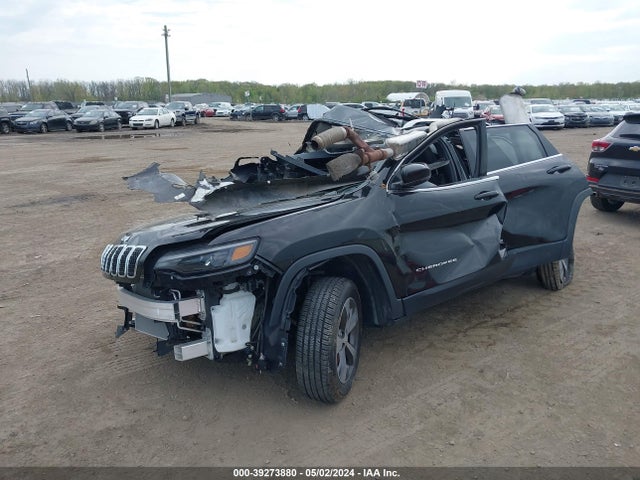 Jeep Cherokee Limited 4x4 2019 1C4PJMDX7KD268663 Image 2