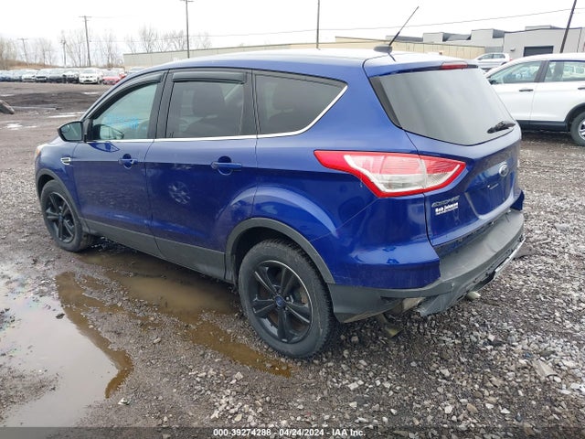 Ford ESCAPE SE 2014 1FMCU0GX5EUD15084 Image 3