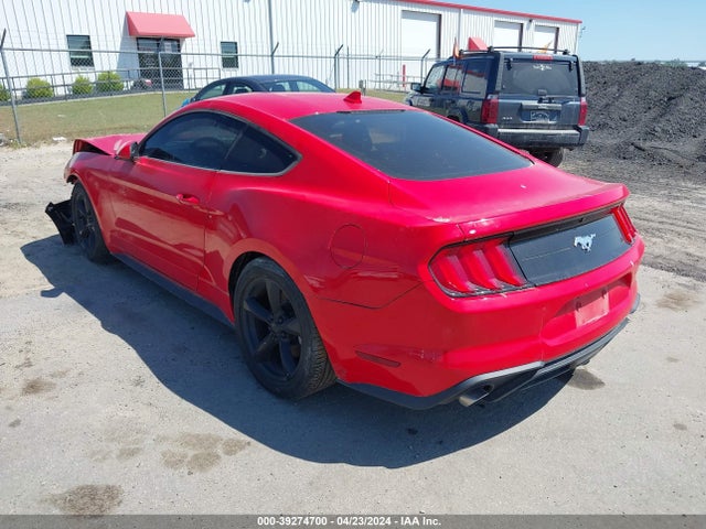 Ford Mustang Ecoboost Fastback 2020 1FA6P8TH3L5188466 Image 3