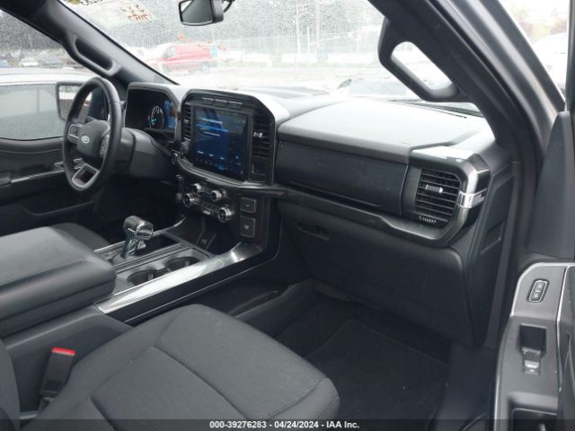 1FTFW1E80MKD95191 Ford F-150 Xlt