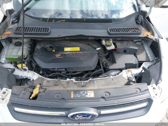 Ford ESCAPE SE 2014 1FMCU0GX2EUA49796 Image 10