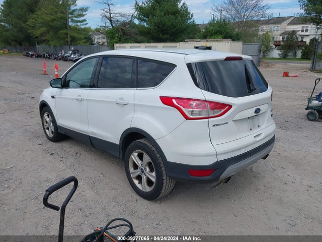 Ford ESCAPE SE 2014 1FMCU0GX2EUA49796 Image 3