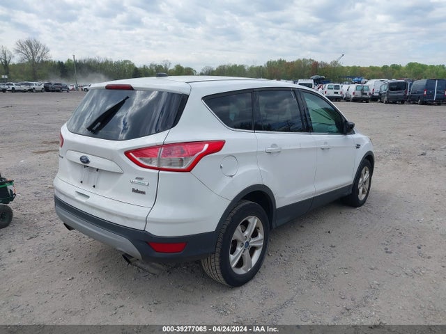 Ford ESCAPE SE 2014 1FMCU0GX2EUA49796 Image 4