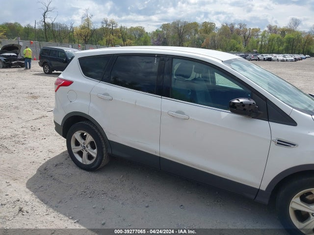 Ford ESCAPE SE 2014 1FMCU0GX2EUA49796 Image 6