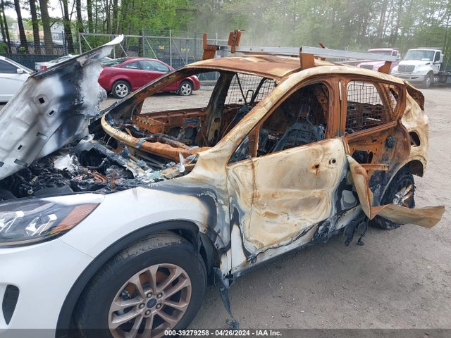 Ford ESCAPE SE 2022 1FMCU0G69NUA65016 Image 6