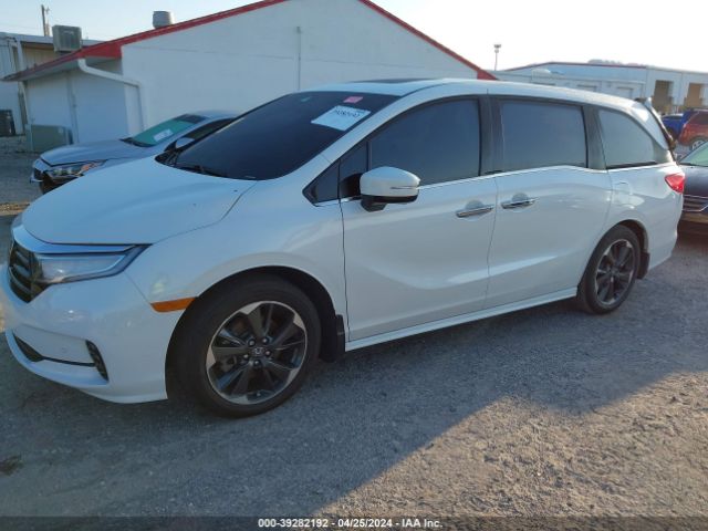 2023 HONDA ODYSSEY 5FNRL6H99PB060441 Photo 1