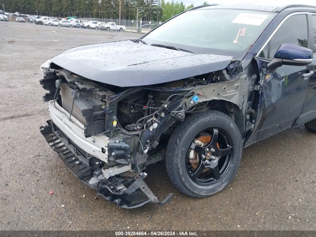 Toyota Rav4 Limited 2019 JTMN1RFV7KD511906 Image 6