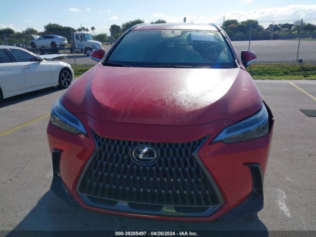 2T2GDCAZ7RC011237 Lexus Nx 250 Premium