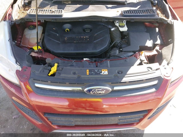 Ford ESCAPE SE 2014 1FMCU9G91EUA88949 Image 10