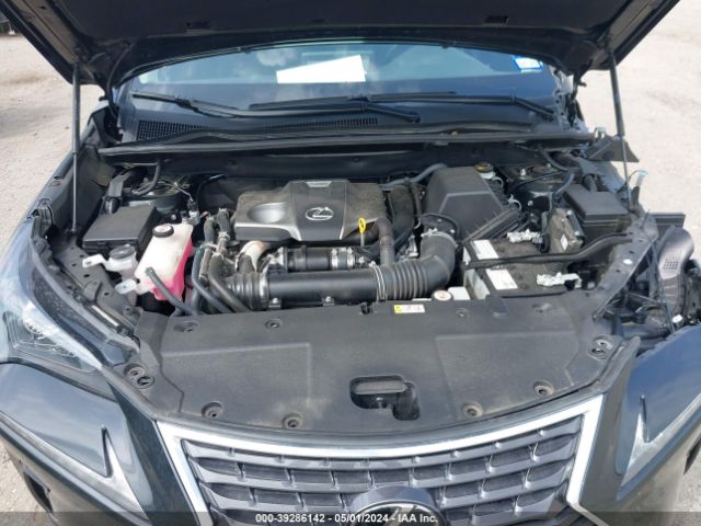 JTJDARBZ1M2190977 Lexus NX 300