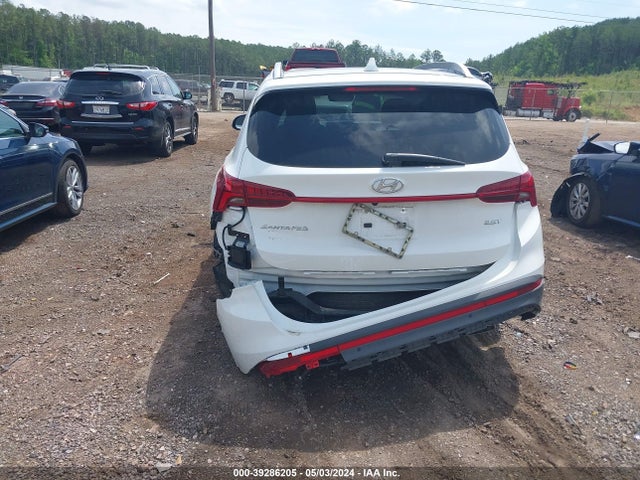 Hyundai Santa Fe Limited 2023 5NMS44AL7PH519277 Image 6