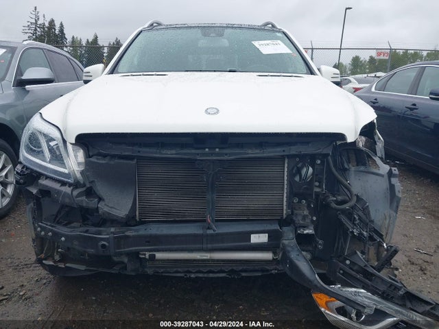 Mercedes-Benz Gl 450 4matic 2015 4JGDF6EE2FA602260 Image 13