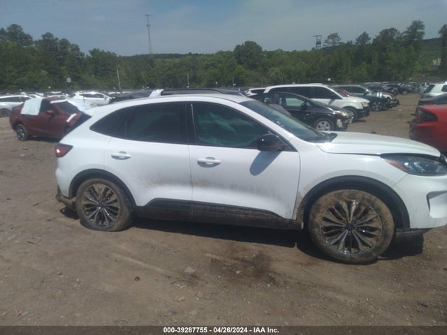 Ford ESCAPE SE 2022 1FMCU0G61NUB57642 Image 13