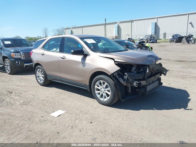 Chevrolet EQUINOX LS 2019 2GNAXHEV8K6247884 главное изображение