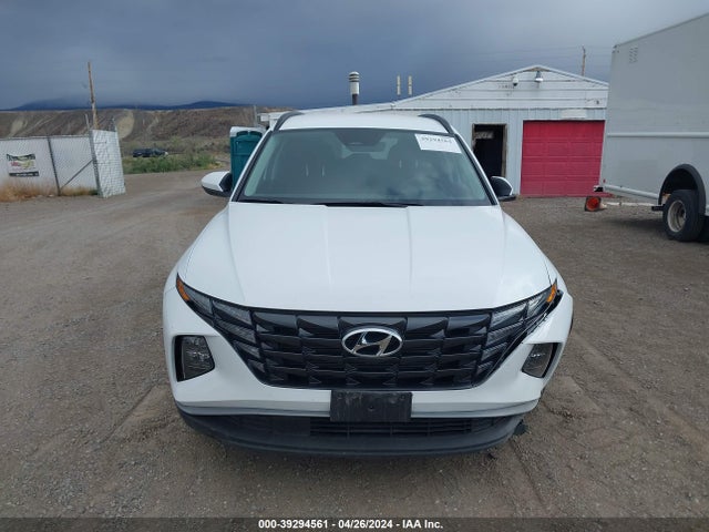 Hyundai TUCSON SEL 2024 5NMJBCDE1RH353642 Image 12