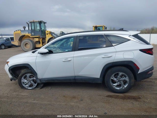 Hyundai TUCSON SEL 2024 5NMJBCDE1RH353642 Image 14
