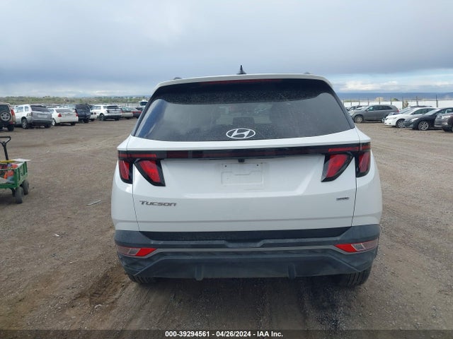 Hyundai TUCSON SEL 2024 5NMJBCDE1RH353642 Image 16