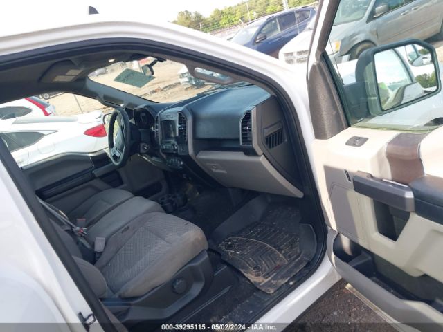1FTEW1C52KFB18729 Ford F-150 Xlt