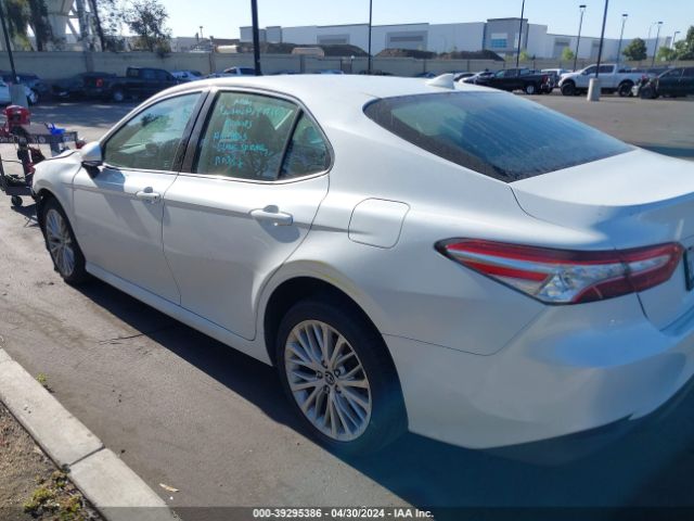 4T1B11HK0KU837212 Toyota CAMRY XLE