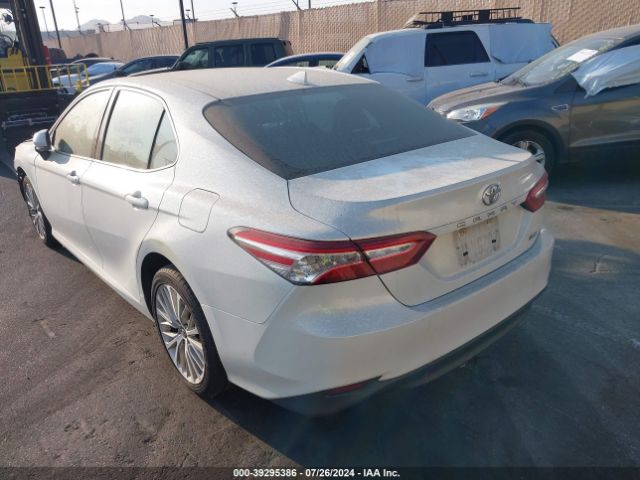 4T1B11HK0KU837212 Toyota CAMRY XLE
