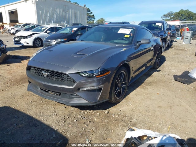 Ford Mustang Ecoboost Fastback 2023 1FA6P8TH4P5107318 Image 2