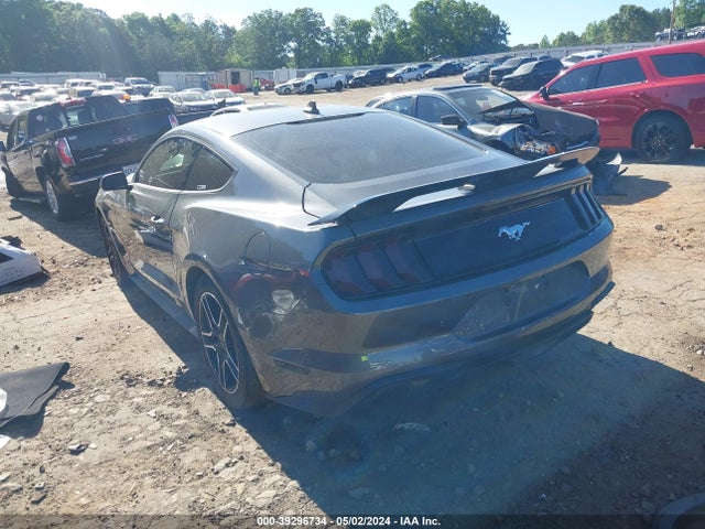 Ford Mustang Ecoboost Fastback 2023 1FA6P8TH4P5107318 Image 3