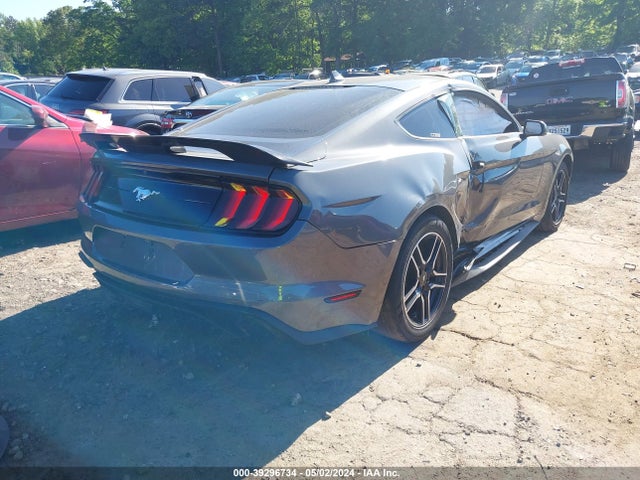 Ford Mustang Ecoboost Fastback 2023 1FA6P8TH4P5107318 Image 4