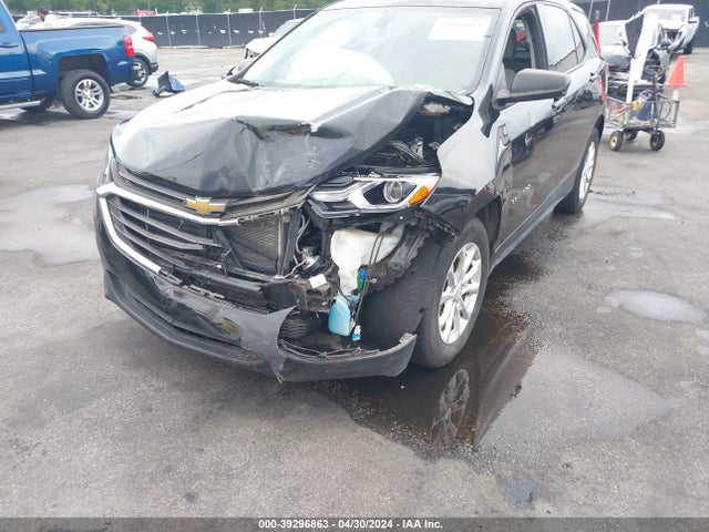 Chevrolet EQUINOX LS 2019 2GNAXHEV8K6119788 Image 6