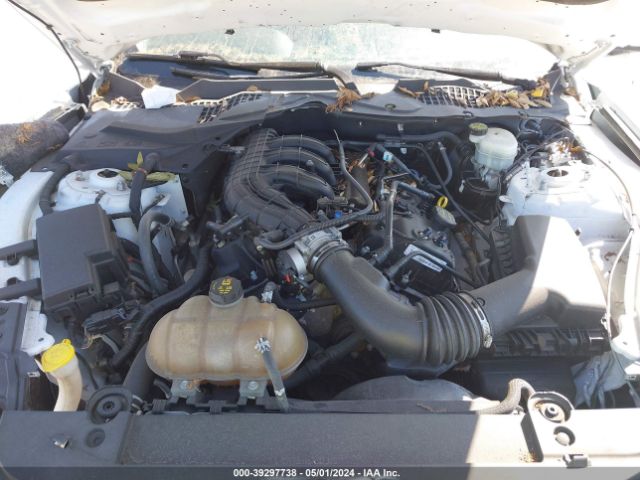 1FA6P8AM4F5319344 Ford Mustang