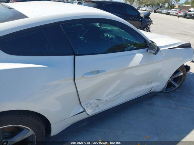 1FA6P8AM4F5319344 Ford Mustang