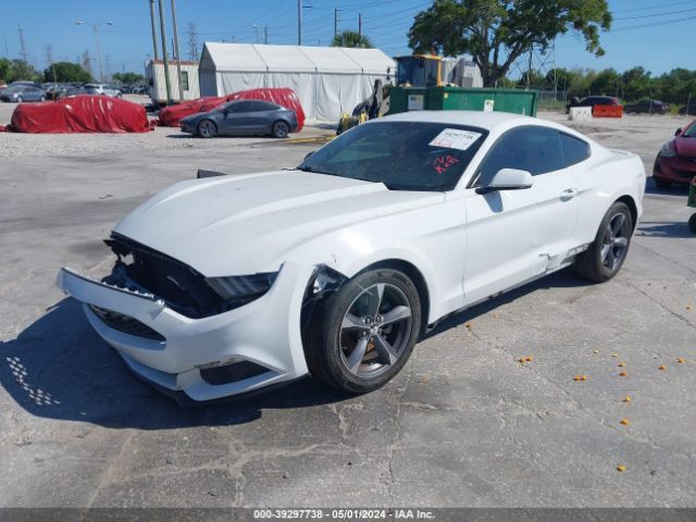 1FA6P8AM4F5319344 Ford Mustang