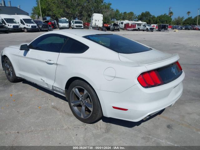 1FA6P8AM4F5319344 Ford Mustang