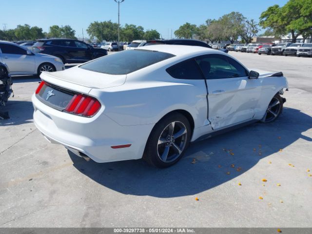 1FA6P8AM4F5319344 Ford Mustang